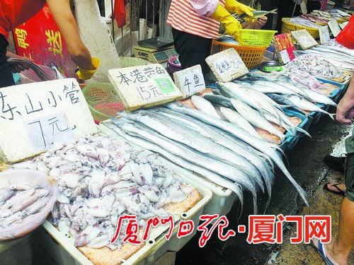 廈門休漁期結(jié)束，海鮮價(jià)格下調(diào)，近海野生海捕魚品質(zhì)提升